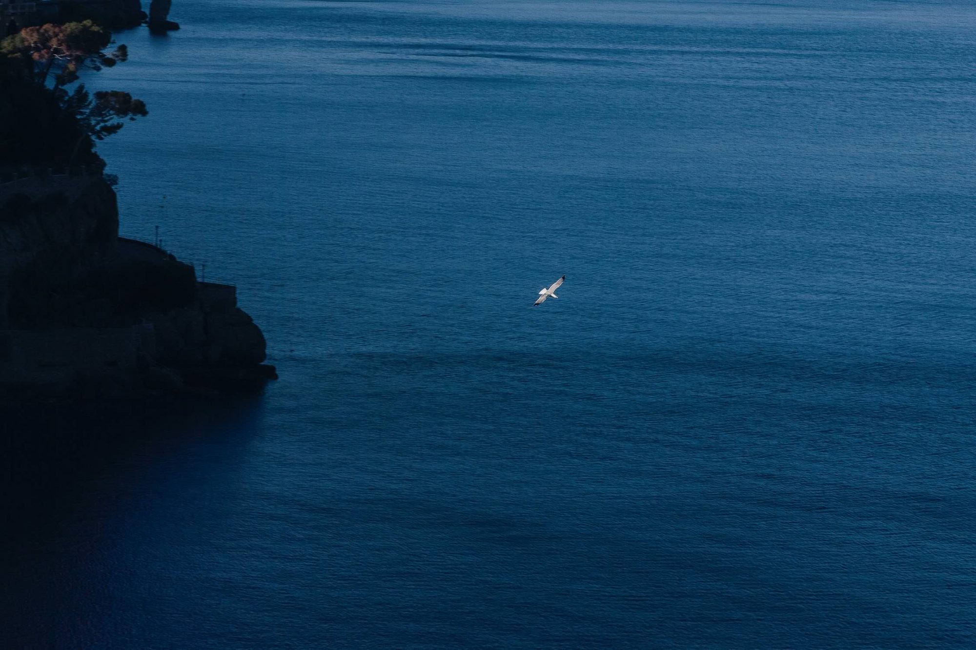 fotografo matrimoni portofino